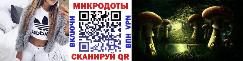 закладка  Талдом  Псилоцибиновые грибы GOLDEN TEACHER 